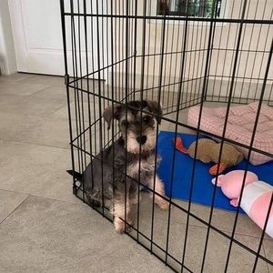 Meet your Posher, Kerry